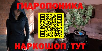 2c-b Новозыбков