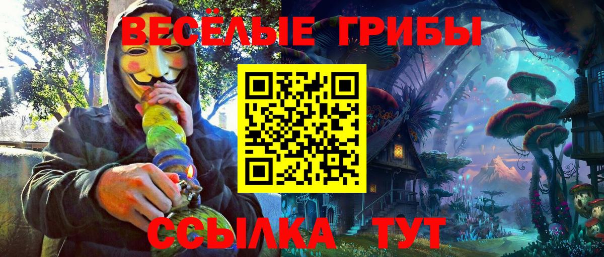Галлюциногенные грибы Cubensis  Галлюциногенные грибы прущие грибы  Сургут  Вход с VPN 