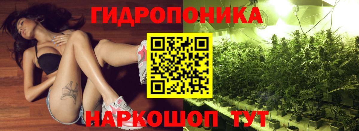 Шишки марихуана планчик  Бошки марихуана SATIVA & INDICA  Шишки марихуана конопля  Сургут  Вход с VPN  МАРИХУАНА White Widow 